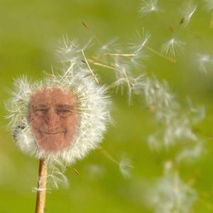 Meet your Posher, Alaura